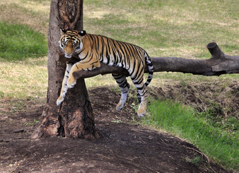 Similar image 1716327