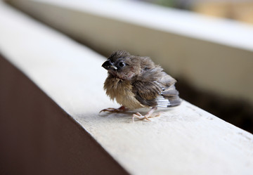 Similar image 1716328