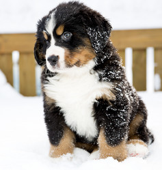 Similar image 1716347