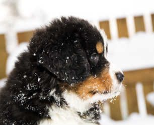 Similar image 1716350