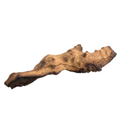 Similar image 1716636