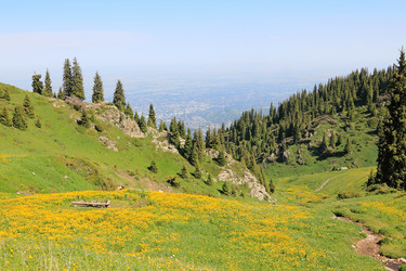 Similar image 1716707