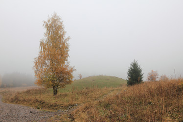 Similar image 1716708