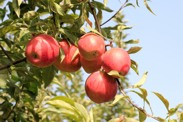 Similar image 1716710