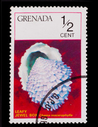 Similar image 1716805