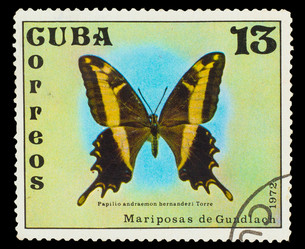 Similar image 1716811