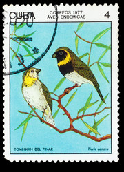 Similar image 1716815