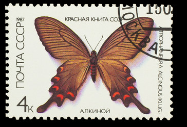 Similar image 1716816