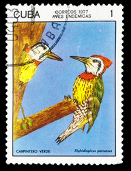 Similar image 1716818