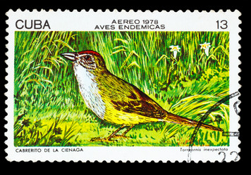 Similar image 1716819