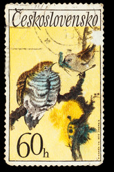 Similar image 1716822