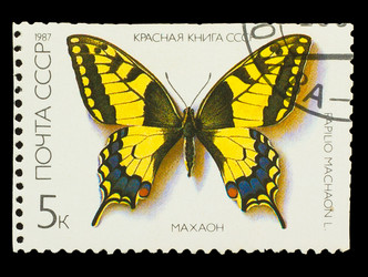 Similar image 1716823