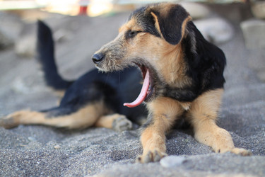 Similar image 1716843