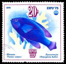 Similar image 1716846