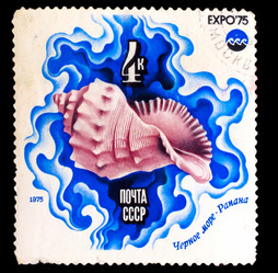 Similar image 1716848