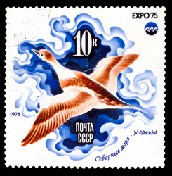 Similar image 1716849