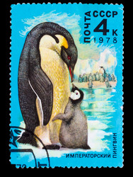 Similar image 1716850