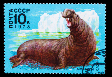 Similar image 1716851