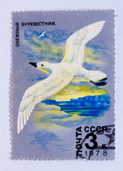 Similar image 1716852