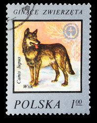 Similar image 1716853