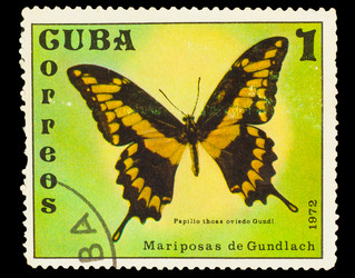 Similar image 1716857