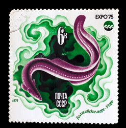 Similar image 1716858