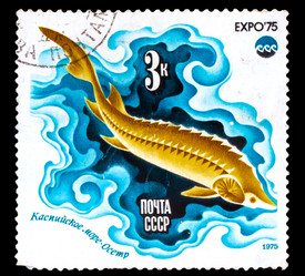 Similar image 1716859