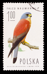 Similar image 1716861