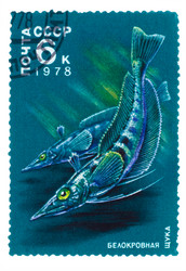 Similar image 1716863