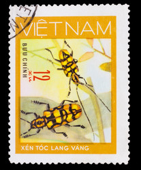 Similar image 1716910