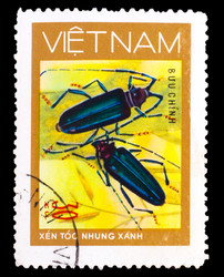 Similar image 1716912