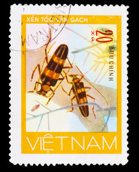 Similar image 1716914