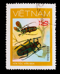 Similar image 1716918