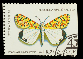 Similar image 1716923