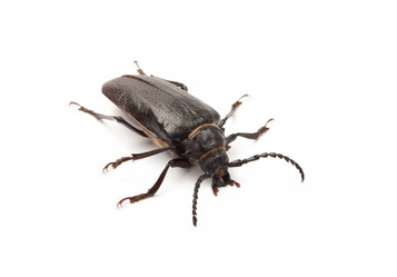 Similar image 1716976