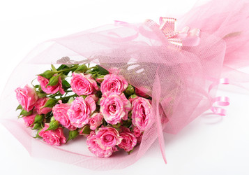 Similar image 1717024