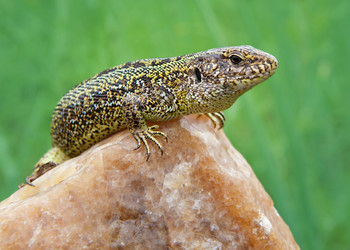 Similar image 1717029