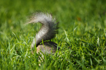 Similar image 1717103