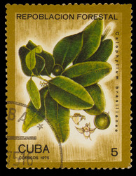 Similar image 1717109