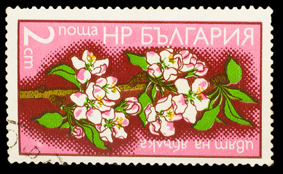 Similar image 1717111