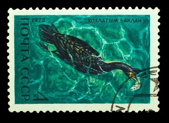 Similar image 1717153