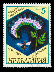 Similar image 1717154