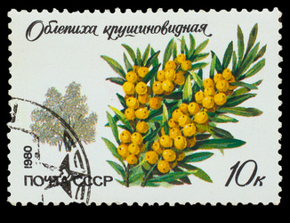 Similar image 1717170