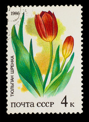 Similar image 1717187