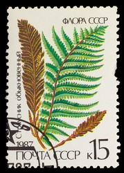 Similar image 1717198