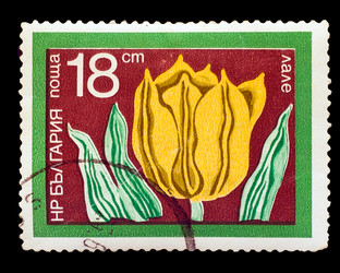 Similar image 1717199