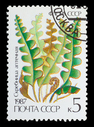 Similar image 1717206