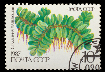 Similar image 1717210