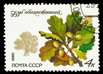 Similar image 1717216