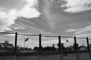 Similar image 1717277